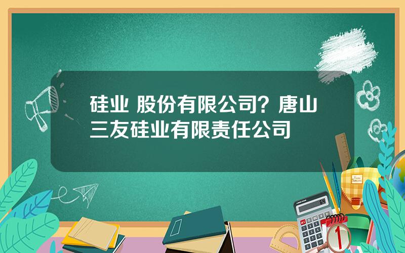 硅业 股份有限公司？唐山三友硅业有限责任公司